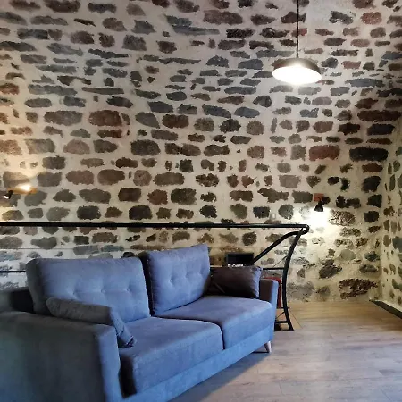 Maison De Renovee, Entre Nature Et Ville, Proche Du Puy-en-velay - Fr-1-582-321 Holiday home